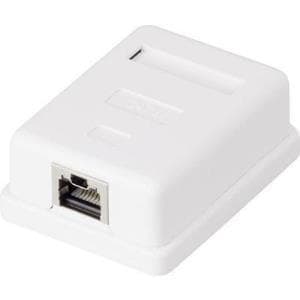 renkforce verkkopistoke pinta-asennettu CAT 6 1 portti valkoinen
