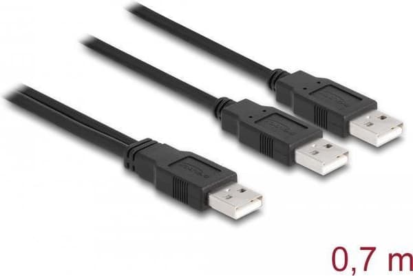 Delock - USB-kaapeli - USB (M) USB (M) - USB2.0 - 70 cm - musta (80000)
