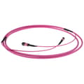 Miniatyrbillede 2 af 2: ACT DC5025 Fiberoptisk kabel 50 m LSZH OM3/OM4 MPO/MTP Violet
