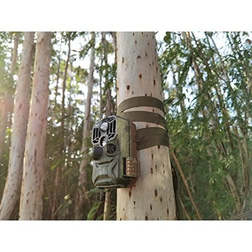 Braun Germany Scouting Cam Black800 WiFi wildlife kamera fjernbetjening, sorte LED'er, WiFi, time-lapse funktion camouflage grøn (57666)