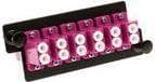 ACT adapterplade 6xLC Duplex (12F) OM4 (FA2155)