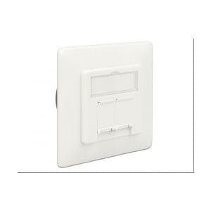 Delock netværksafgreningsdåse planmonteret 2 port Cat.6A LSA (86195) Hvid