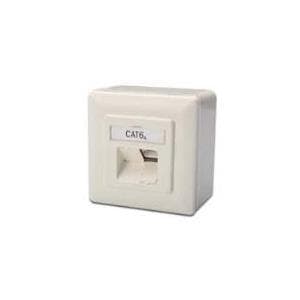 DIGITUS DN-9007-S-1 - Tilslutningsboks, planmonteret - RJ-45 X 2 - RAL 1013 (DN-9007-S-1) Hvid