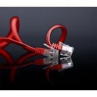 shiverpeaks U/UTP Kat. 6 10m - RJ-45 - RJ-45 - Mand/Han - Guld - Cat6 - U/UTP (UTP) (SP720-SLR)