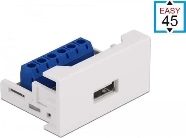 Delock - Easy 45 - snap-in modul - USB - 1 - hvid, RAL 9003 (81343)