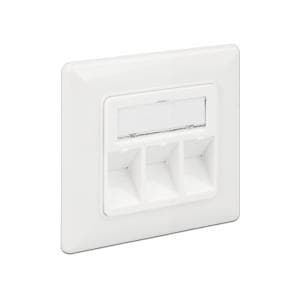 DeLOCK Keystone seinäpistorasia - pistorasia - puhtaan valkoinen, RAL 9010 - 3 porttia (86194)