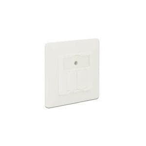 DeLOCK Keystone vægudtag - vægstik - ren hvid, RAL 9010 - 2 porte (86219) Hvid