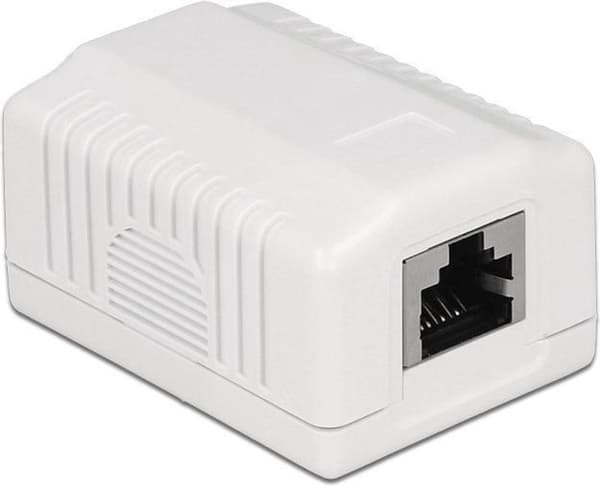 DeLOCK CAT6a Gigabit verkkolähtörasia/asennusrasia 1 RJ45-portilla - suojattu / valkoinen Valkoinen