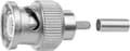Miniatyrbillede 1 af 2: Telegärtner J01002A0002 J01002A0002 BNC-stik Stik, lige 75 Ω 1 stk.