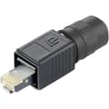 Miniatyrbillede 1 af 3: Telegärtner RJ45 stiksæt Variant 4 stik, lige poler: 8P8C J80026A0013 Sort J80026A0013 1 stk (J80026A0013)