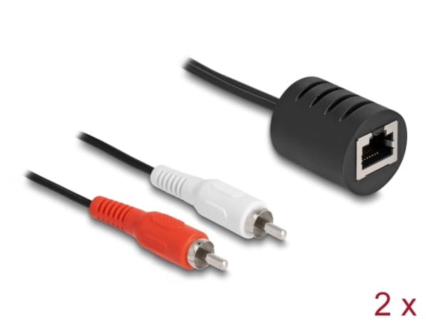 Delock - Audioadapter - RJ-45 hunn til RCA x 2 hann - svart (en pakke 2)