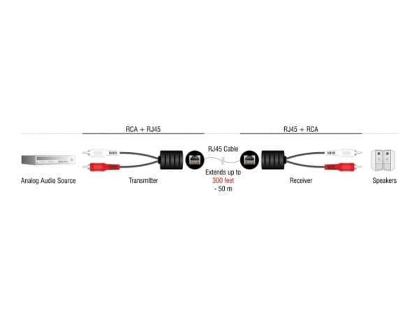Delock - Audioadapter - RJ-45 hunn til RCA x 2 hann - svart (en pakke 2)