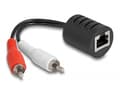 Miniatyrbilde 2 av 4: Delock - Audioadapter - RJ-45 hunn til RCA x 2 hann - svart (en pakke 2)