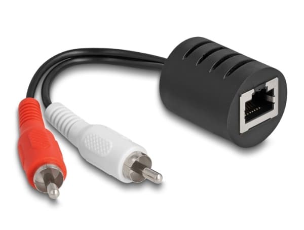 Delock - Audioadapter - RJ-45 hunn til RCA x 2 hann - svart (en pakke 2)