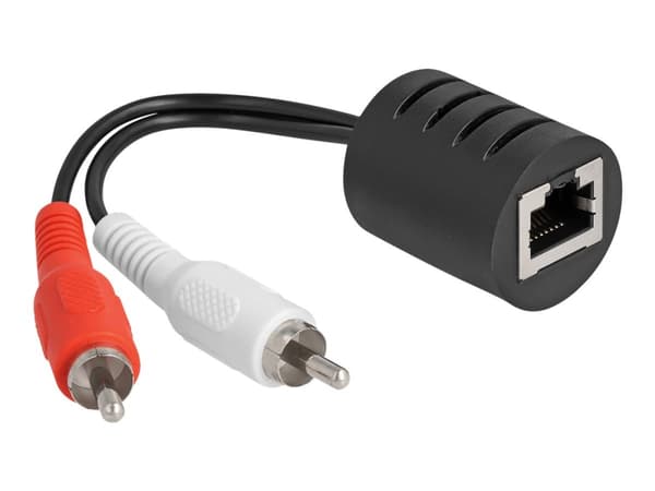 Delock - Audioadapter - RJ-45 hunn til RCA x 2 hann - svart (en pakke 2)