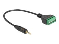 Delock - Audioadapter - 2,5 mm 4-stifts stereokontakt hann til 4-pins terminalblokk - 20 cm - svart - 4.25 mm pitch, stifttilordning: 1:1