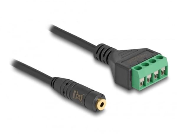 Delock - Audioadapter - minijakk (hunn) til 4-pins terminalblokk - 20 cm - 2,54 mm stigning - svart