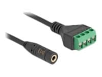 Delock - Audioadapter - minijakk (hunn) til 4-pins terminalblokk - 20 cm - 2,54 mm stigning - svart