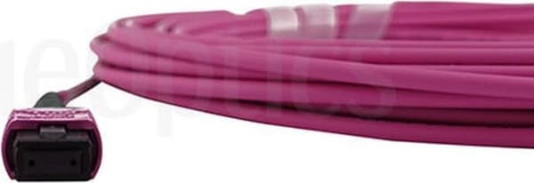 BlueOptics SFP6262FU5MKB fiberoptisk kabel 5 m MTP OM4 Rose (SFP6262FU5MKB)