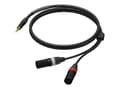 Pikkukuva 1 / 2: Kaapeli Procab kaapeli PROCAB PRA712/3, jack 3.5mm (M) stereo do 2x XLR (M) (3m)
