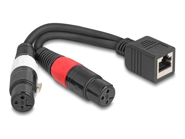 Delock - Lydkabel - XLR3 hunn til RJ-45 hunn - 20 cm - svart