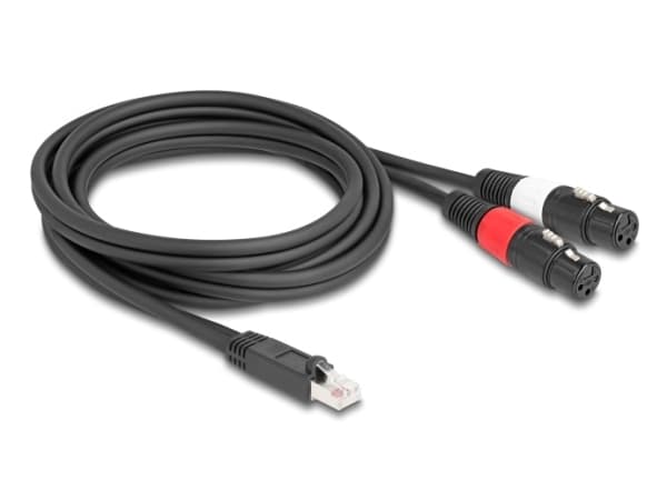 Delock - DMX-kabel - RJ-45 hann til XLR3 hunn - 2 m - svart