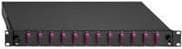 Rutenbeck - Fiberoptisk kabelboks - udtrækbar - SC Duplex MM X 6 - Sort, RAL 9005 - 1U - 48,3 cm (19")
