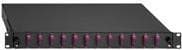 Rutenbeck - Fiberoptisk kabelboks - SC Duplex MM X 24 - Sort, Aquamarine, RAL 9005 - 1U - 48,3 cm (19")