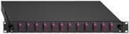 Rutenbeck - Fiberoptisk kabelboks - udtrækbar - LC Duplex MM X 12 - Sort, RAL 9005 - 1U - 48,3 cm (19")