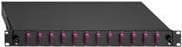 Rutenbeck - Fiberoptisk kabelboks - SC Duplex MM X 12 - Sort, Aquamarine, RAL 9005 - 1U - 48,3 cm (19")