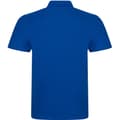 Pikkukuva 2 / 3: PRO RTX Mens Pro Pique Polo Shirt