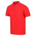 Miniatyrbild 4 av 4: Regatta Sinton Lightweight Polo Shirt för män