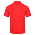 Miniatyrbild 2 av 4: Regatta Sinton Lightweight Polo Shirt för män