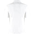 Miniatyrbillede 2 af 2: Kustom Kit Poloshirt til mænd