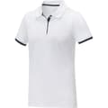 Miniatyrbilde 3 av 4: Elevate Womens/Ladies Morgan Short-Sleeved Polo Shirt