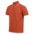 Pikkukuva 3 / 4: Regatta Mens Tadeo Polo Shirt