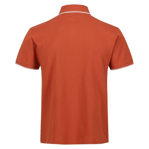 Regatta Mens Tadeo Polo Shirt