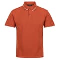 Pikkukuva 1 / 4: Regatta Mens Tadeo Polo Shirt