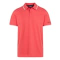 Pikkukuva 1 / 3: Regatta Mens Tadeo Polo Shirt