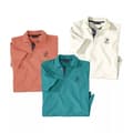 Miniatyrbilde 1 av 4: Atlas For Men Mens Polo Shirt (Pack of 3)