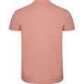 Pikkukuva 2 / 4: Roly Mens Star Short-Sleeved Polo Shirt