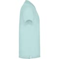 Pikkukuva 4 / 4: Roly Mens Star Short-Sleeved Polo Shirt