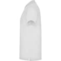 Pikkukuva 3 / 4: Roly Mens Star Short-Sleeved Polo Shirt