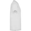 Pikkukuva 4 / 4: Roly Mens Star Short-Sleeved Polo Shirt