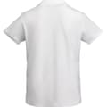 Miniatyrbilde 2 av 4: Roly Mens Prince Short-Sleeved Polo Shirt