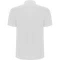 Miniatyrbilde 2 av 3: Roly Mens Pegaso Premium Short-Sleeved Polo Shirt