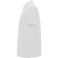 Miniatyrbilde 3 av 3: Roly Mens Pegaso Premium Short-Sleeved Polo Shirt