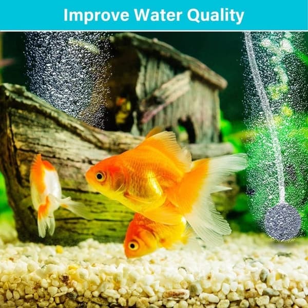 Lollanda Solenergi syrepump till akvarium – Pool- och damm-luftare, utomhus fiskdamm, vattenodling och akvarium luftpump