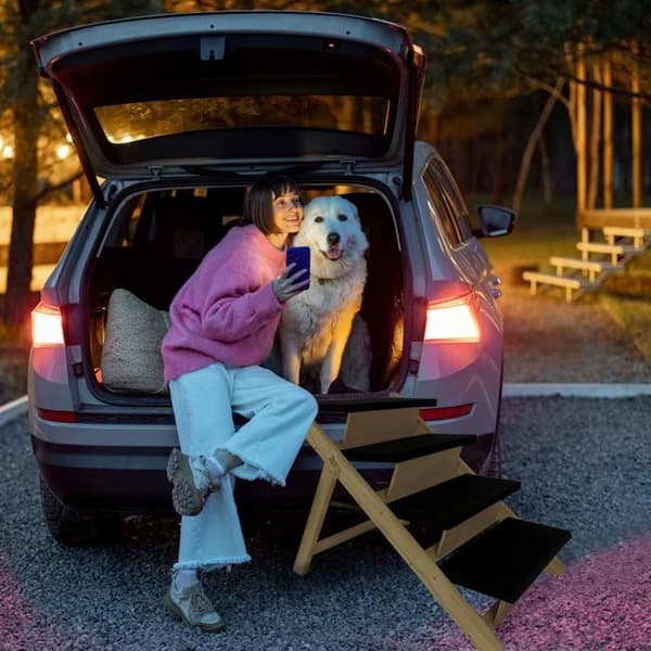 XMTECH hopfällbar hundtrappa, husdjursramp i trä, med 4 nivåer, maximal belastning 80 kg