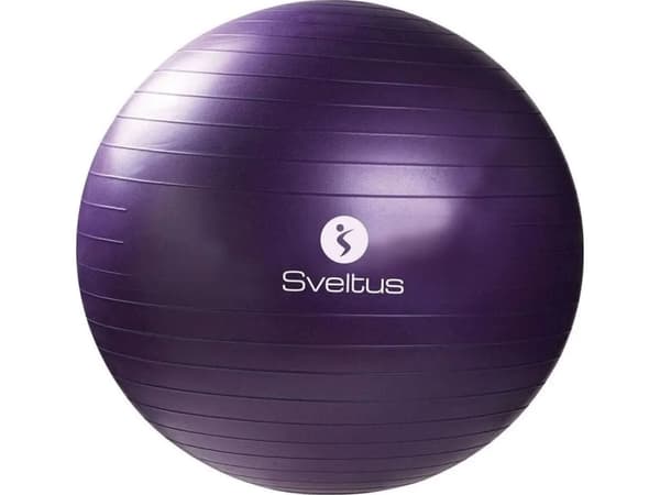 SKO Gym ball SVELTUS Anti burst 75 cm, violet + box